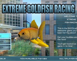 xTreme Goldfish Racing Image