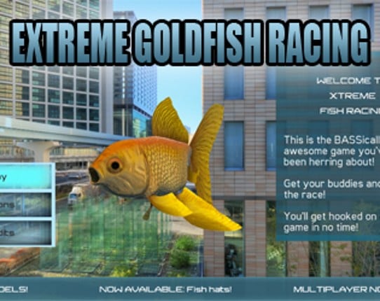 xTreme Goldfish Racing Game Cover