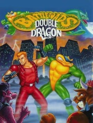 Battletoads & Double Dragon Game Cover