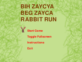 Rabbit Run Image