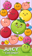 Fruit Drop Merge Image