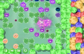 Purple Virus Image