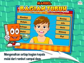 Marbel Bagian Tubuh Image