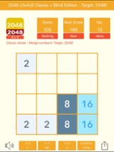 2048 3x3 4x4 5x5 + Blind Image