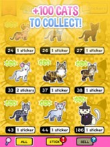 My Cat Album: Pet Sticker Game Image