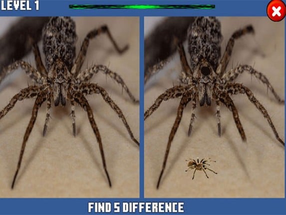 Spider Hidden Difference Game Cover