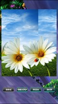 Spring Jigsaw Puzzles Image