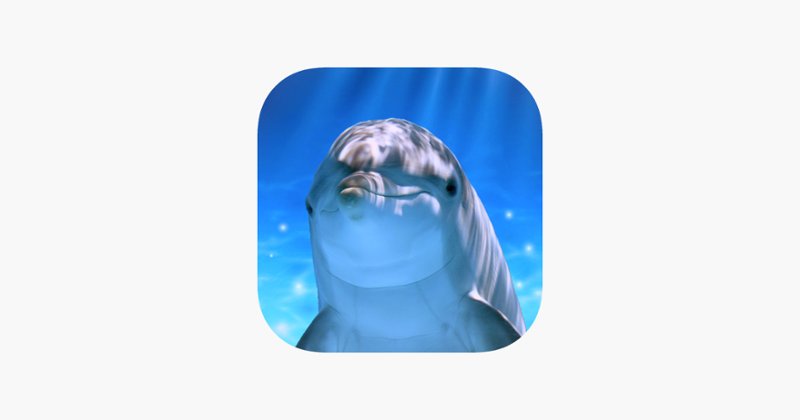 Tap Dolphin -simulation game- Game Cover