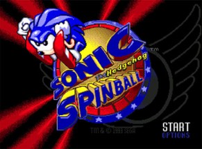 Sonic Spinball™ Image