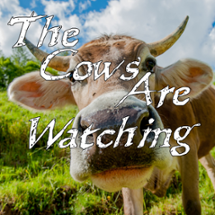The Cows Are Watching Image