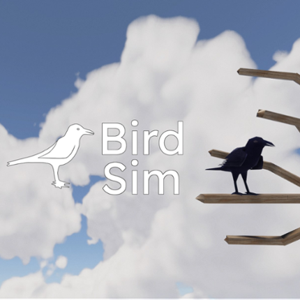 BirdSim Game Cover