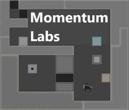 Momentum Labs Image