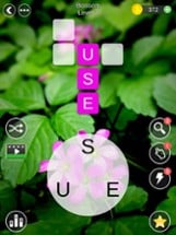 Word Cross Game - Words Search Image