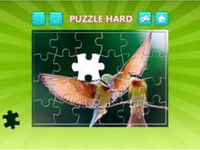 Bird Jigsaw Easy and Hard - Learn Puzzles For Kids Image
