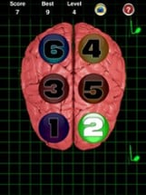 Brain Cracker Memory Game Image