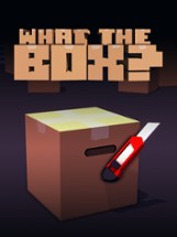 What the box? Image