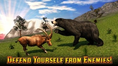 Adventures of Mountain Goat 3D Image