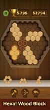 3D Wood Block Puzzle : Hexa! Image