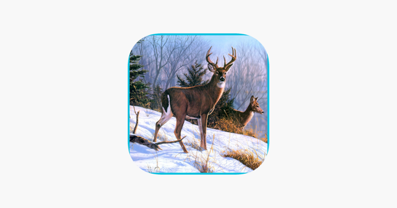 Deer Sniper 2017 3D Game Cover