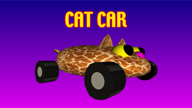Cat Car Image