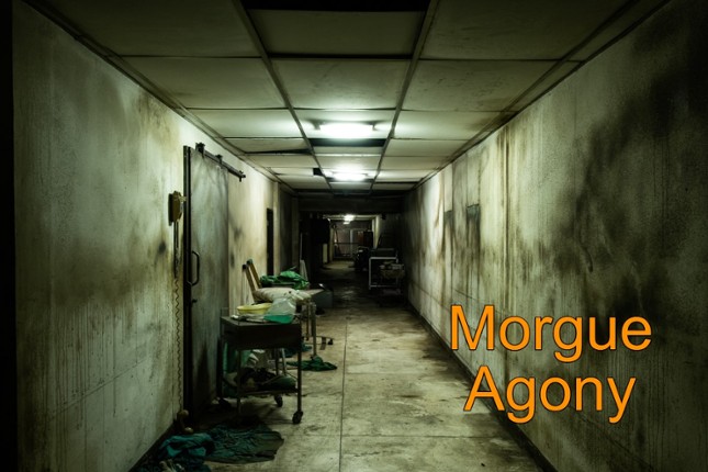 Morgue Agony (VR) Game Cover