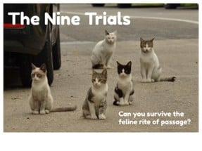 The Nine Trials Image