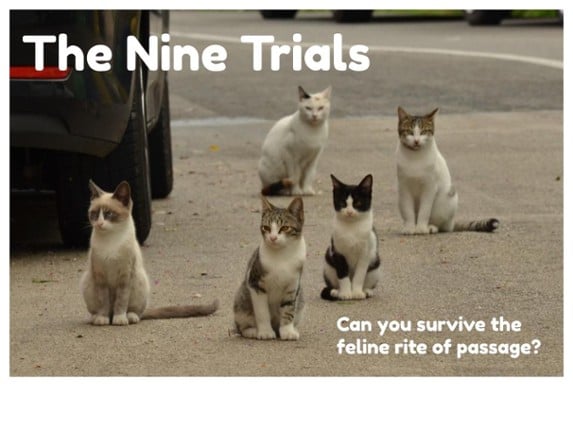 The Nine Trials Game Cover