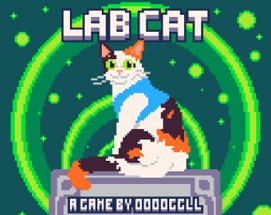 Lab Cat Image