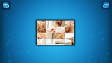 PUZZLE: CATS & DOGS Image