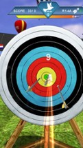 Archery Champion 3D Image