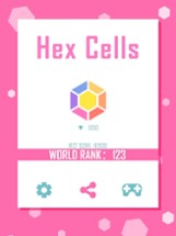 Hex Cells Classic Hexagon Matching Puzzle Image