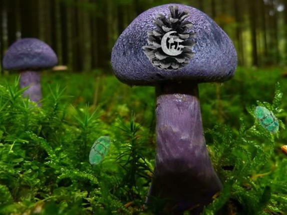 Mushroom Forest Adventure Game Cover