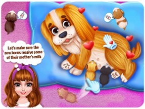 Puppy Pet Story: DayCare Game Image