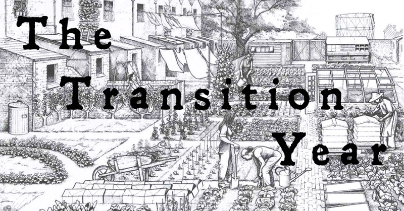 The Transition Year Game Cover