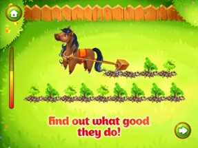 Animal Farm. Educational Games Image