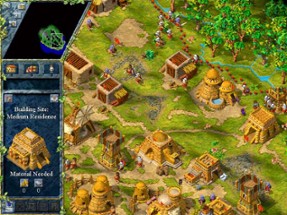 The Settlers III Image