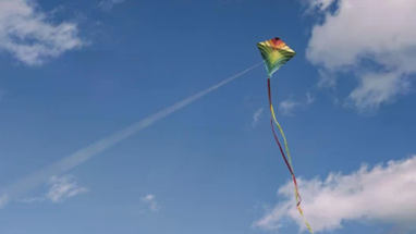 Kite Flying 2024 (Kite Game) Image