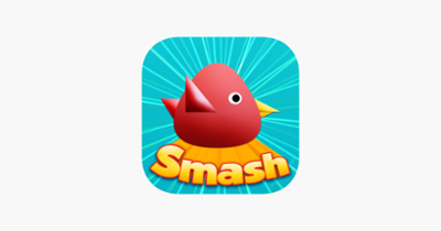 Cool Birds Game - Fun Smash Image