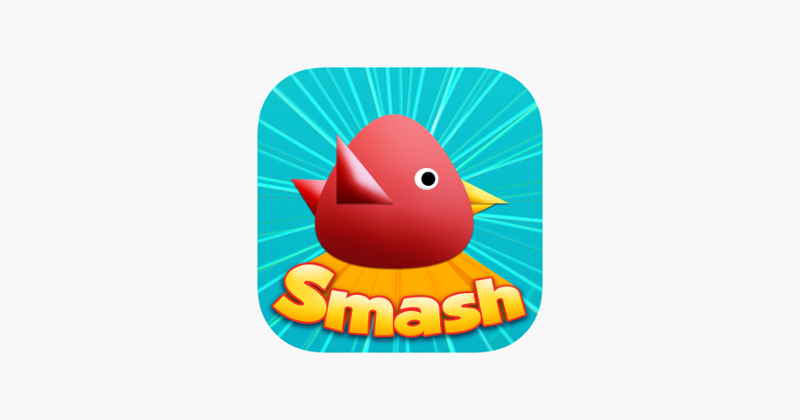 Cool Birds Game - Fun Smash Game Cover