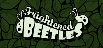 Frightened Beetles Image