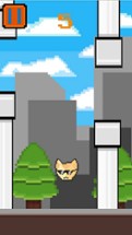 Flappy Memes pixel tap Image