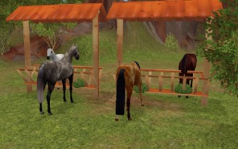 Jumpy Horse Breeding Image