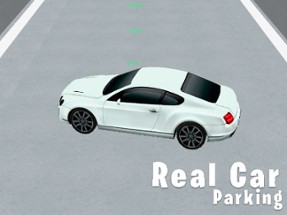 Real Car Parking 3D Image