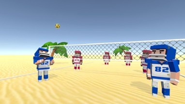 Volleyball Fever Image