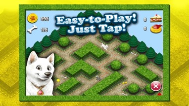 Cool Dog 3D My Cute Puppy Maze Game for Kids Free Image