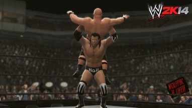 WWE 2K14 Image