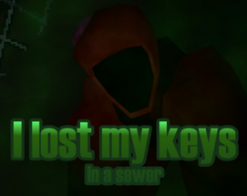 I lost my keys in a sewer Image