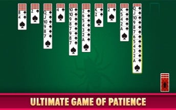 Spider Solitaire: Card Game Image