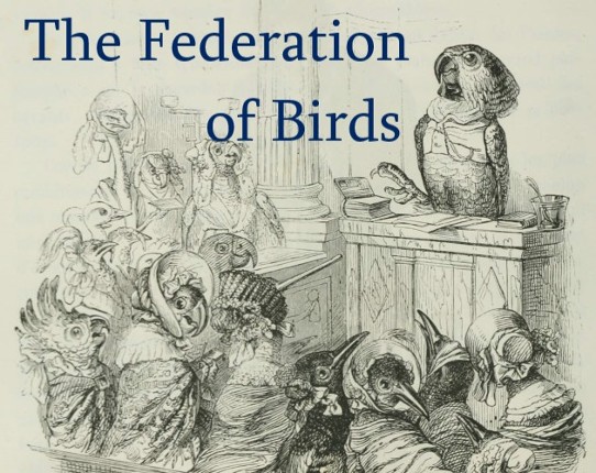 The Federation of Birds Game Cover