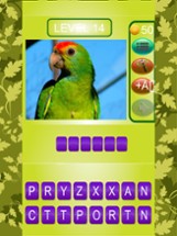 Spell Animal Name Quiz Image